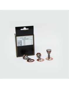 KIT 6 TORNILLOS PISTON INTERPUMP